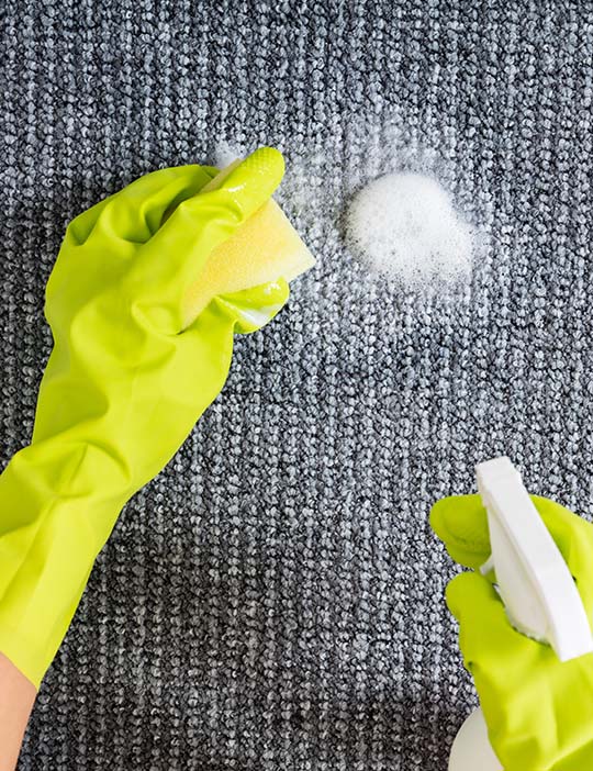 Detergent Chemicals